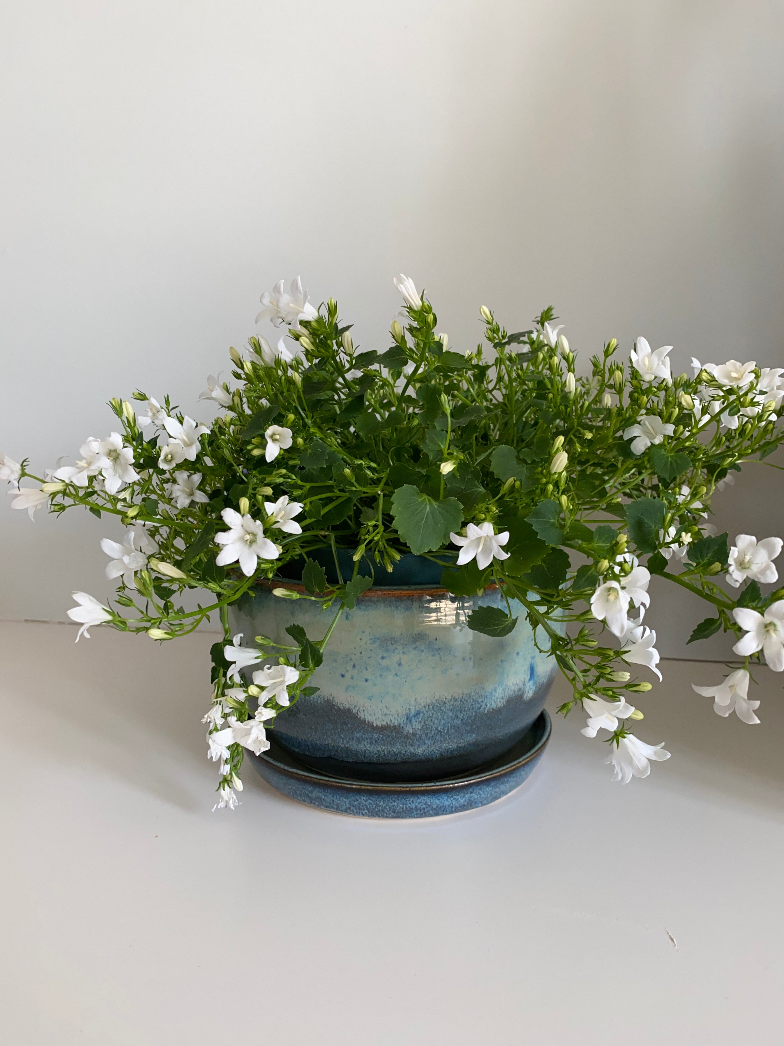 Bloempot met schaaltje "Shades of Blue"