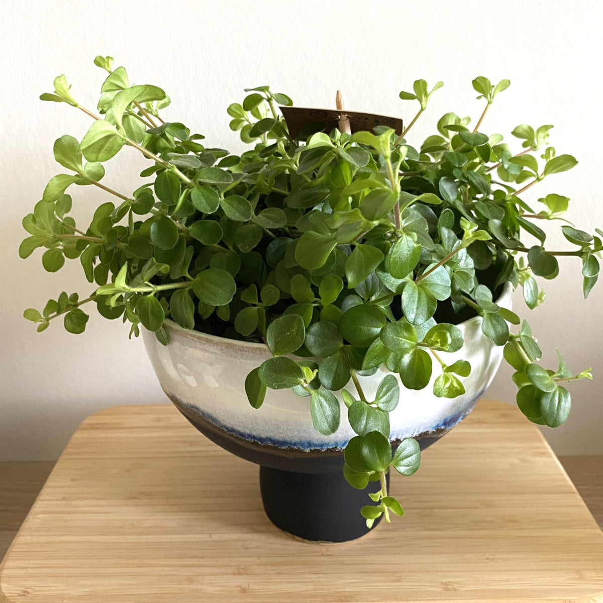 Petit vase Black Matt